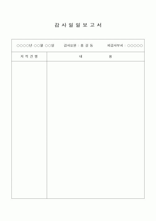 (경영)감사일일보고서1