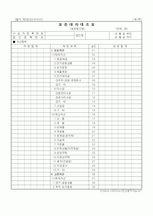 (세무/회계)표준대차대조표(일반법인용)
