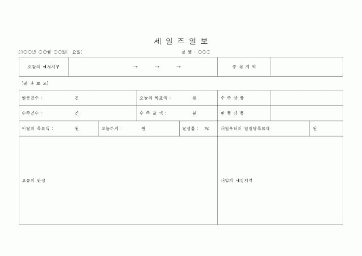 (기타)세일즈일보2