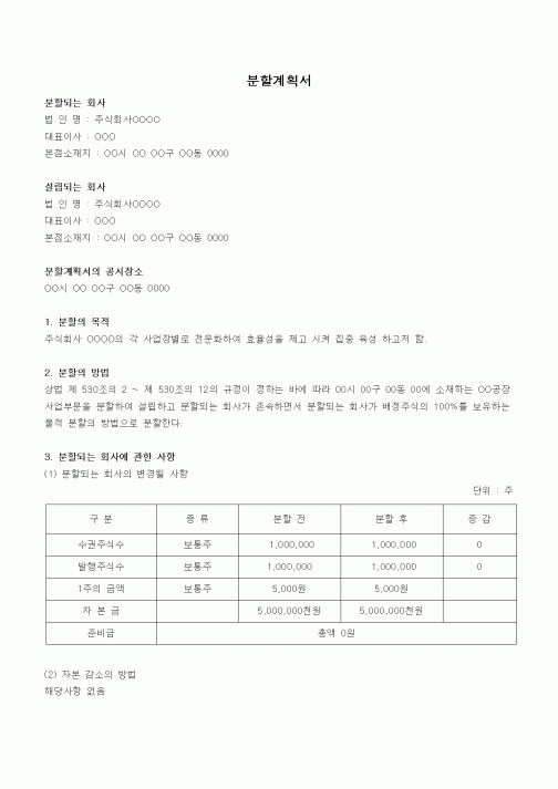 (경영)분할 계획서(물적분할 방식)