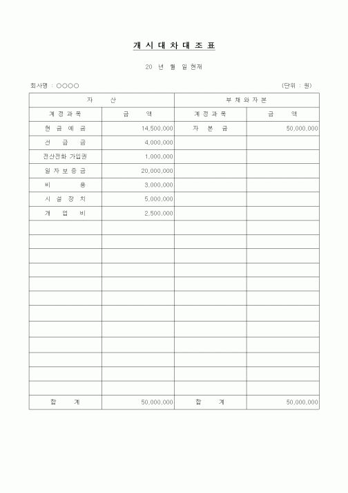(경리)개시대차대조표(1)