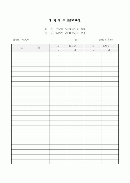 (세무/회계)대차대조표(보고식)1