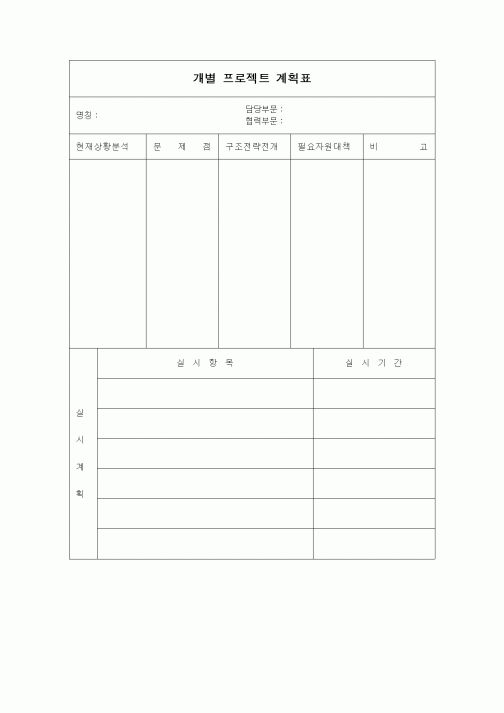 (경영)개별 프로젝트 계획표
