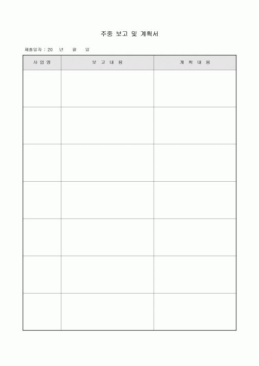 주중 보고 및 계획서