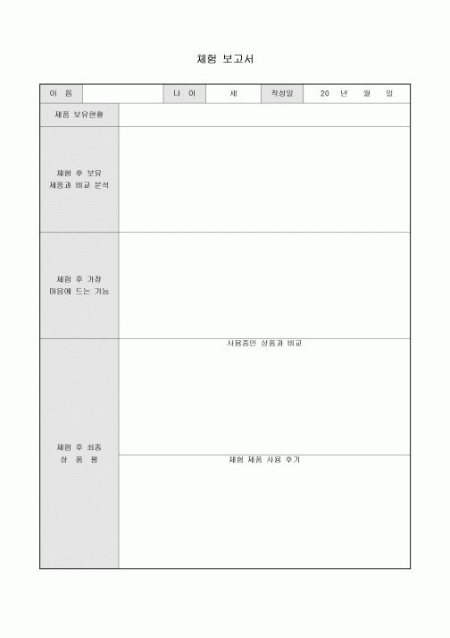 체험 보고서(신제품)