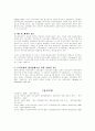 한국 인사행정 개혁의 계획과 실제 16페이지