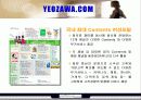 닷컴기업의 BUSINESS MODEL 분석 ( YEOZAWA.COM ) 7페이지