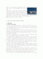 미국 테러 사건에 대한 역사적 서술 2페이지