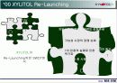 제품의 시장진입 전략- 자일리톨 XYLITOL 껌 사례 중심으로 13페이지
