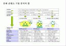 한국의 문화 콘텐츠 비즈니스 & 성공 전략 18페이지