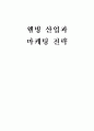 웰빙 산업과 마케팅 전략 1페이지