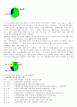 흘러라 동강, 이 땅의 힘이 되어서 13페이지