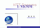 NTT- DOCOMO 회사 분석 및 통신 및 경영환경, 기업 비젼 분석 1페이지