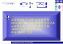 NTT- DOCOMO 회사 분석 및 통신 및 경영환경, 기업 비젼 분석 30페이지