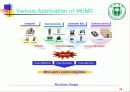 MEMS(Micro Electronic Mechanical System) 39페이지
