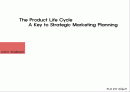 스몰우드의 마케팅 전략의 핵심성공요인 PLC모델[The Product Life Cycle ] 1페이지