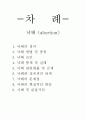 낙태에 대해서 1페이지
