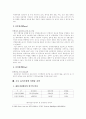 한국 관광공사 마케팅 전략 16페이지