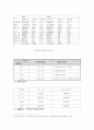 한국 관광공사 마케팅 전략 17페이지