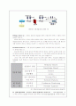 I D S의 전망 14페이지