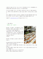 이동통신단말기범죄의 실태분석과 대응방안 12페이지