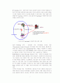 최근 사이버 공격 기술 및 차세대 정보보호 기술 전망 8페이지
