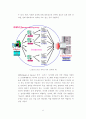 최근 사이버 공격 기술 및 차세대 정보보호 기술 전망 9페이지