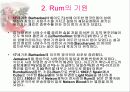 [주류학] Rum(럼) & Vodka(보드카) &Gin(진) 3페이지