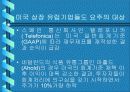 (국제경영) 국제경영에 있어서의 분식회계 사례를 들고 각 나라의 대응과 향후 방안을 기술 10페이지