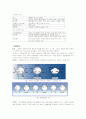 DNA 에서 단백질까지 2페이지