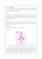 퇴행성관절염과 류마티스관절염의 치료 4페이지