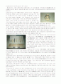 김해박물관을 다녀와서..(2005년, 가야문화의 보고, 수로왕릉 등 다수의 문화재) 5페이지