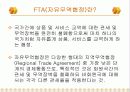 한국-칠레 FTA의 진행과정과 성과, 문제점과 개선방안 3페이지