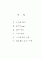 조사보고서 2페이지