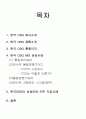 한국 OSG 의 ERP,TQM 의 도입 성공사례 2페이지