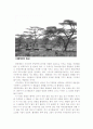 [다큐멘터리 제작과정] 야생의 초원 세렝게티 ; 제작과정 200일의 기록 2페이지