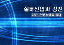 한국 실버산업의 분석과 실태 및 가능성 분석 1페이지