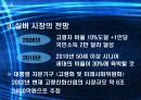 한국 실버산업의 분석과 실태 및 가능성 분석 6페이지