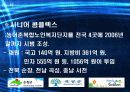 한국 실버산업의 분석과 실태 및 가능성 분석 13페이지