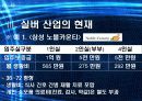 한국 실버산업의 분석과 실태 및 가능성 분석 14페이지