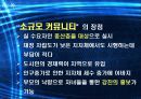 한국 실버산업의 분석과 실태 및 가능성 분석 22페이지