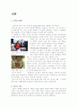 [간접광고,광고학]PPL의 개념과 성장 배경( PPL의 특성, 효과, 문제점) 2페이지