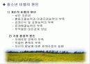 청소년 비행 문제의 다양한 원인과 예방대책 5페이지