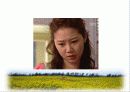 청소년 비행 문제의 다양한 원인과 예방대책 19페이지