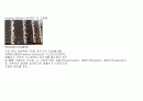 HRSG의 동작원리과 공정도 4페이지