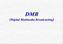 지상파 DMB와 위성 DMB의 비교 분석 및 DMB의 향후 전망과 정책 방향 1페이지