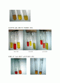 IMVIC TEST 4페이지