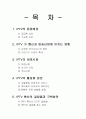IPTV에 관한 전반적인 내용 2페이지