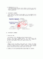 코기 기능 구조 질병 수술 4페이지