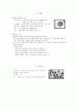 혈액에 관한 포인트 정리 4페이지